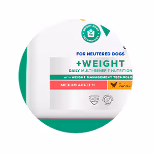 Checkmark and benefit icons