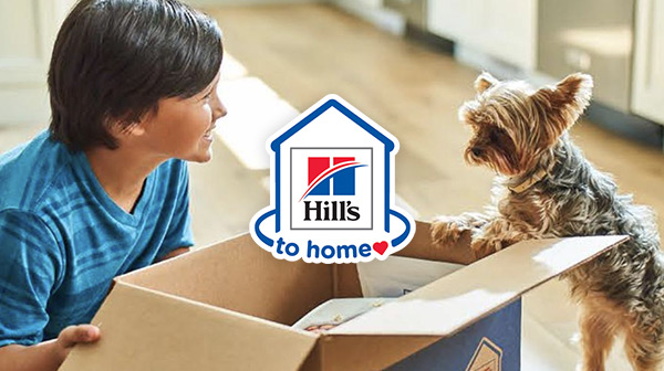 boy and dog looking in hills to home box