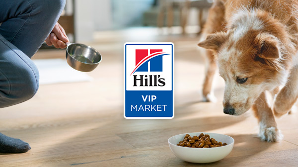 pet parent feeding dog